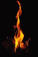 Fire (1)