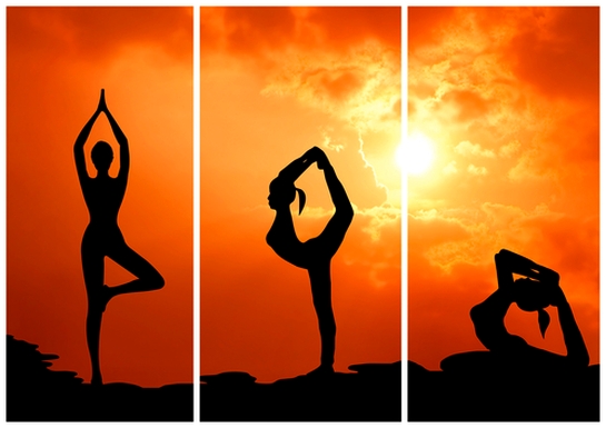 The Science of Yoga and Why It Works