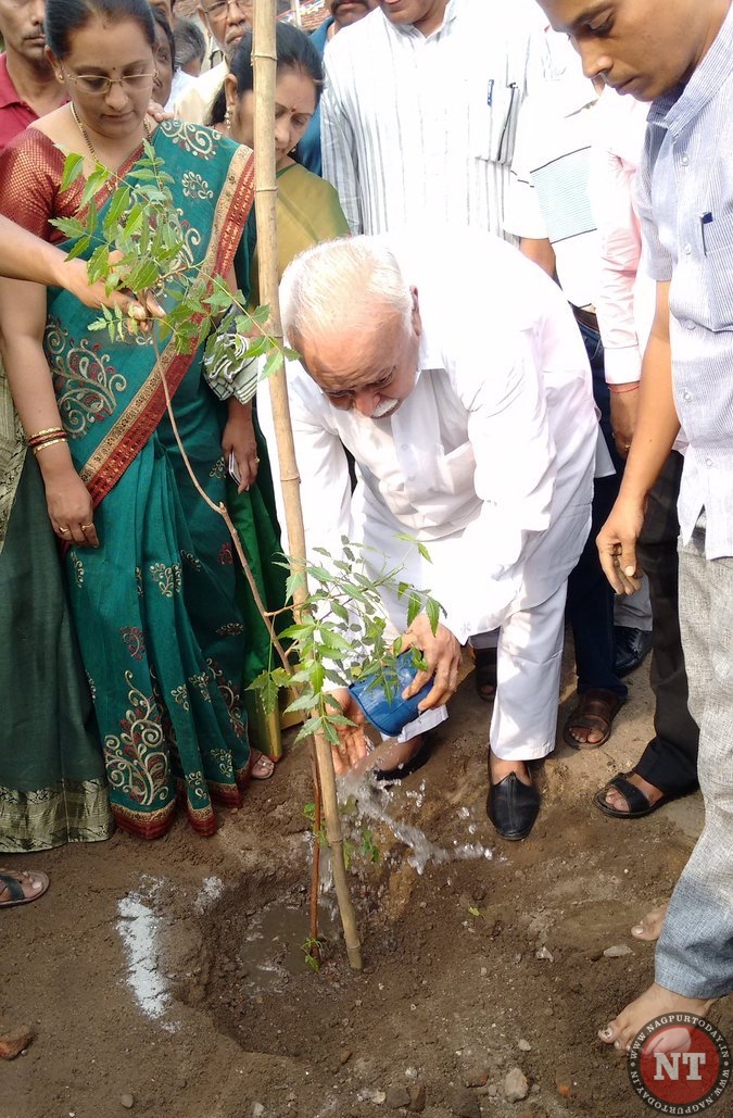 RSS chief Bhagwat plants a Neem tree at Mahal-based HQ - Nagpur Today ...