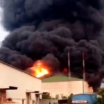 Major Fire Breaks Out At 4 Sawmills Loss Put At Crores No Casualties