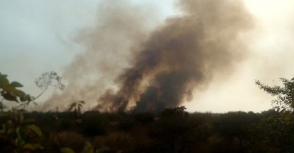 Video: Major fire at Ambazari Bio-diversity Park in Nagpur