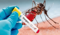 Nagpur Dengue News: Rising Cases Spark Health Department Concerns