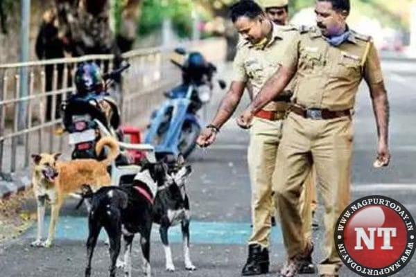 why do policemen keep dogs