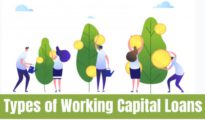 Different Types of Working Capital Loans and How to Use Them