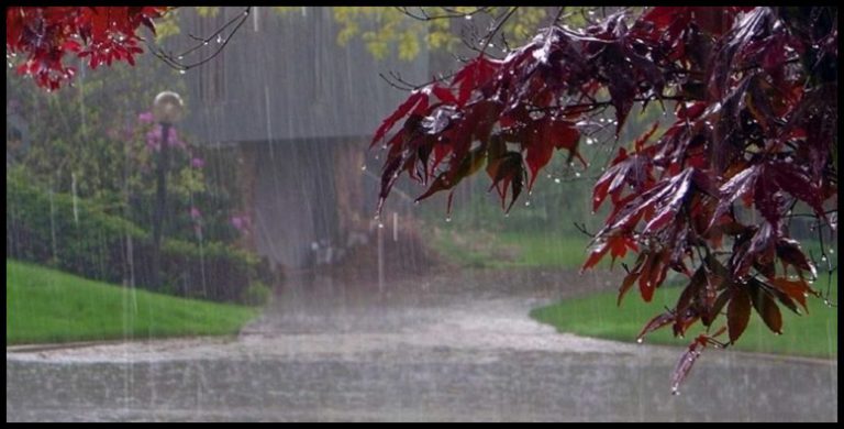 Moderate rain, hailstorm in Nagpur, East Vidarbha between Dec 5 & 7