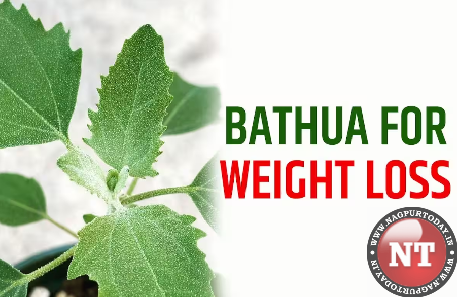 winter-special-how-bathua-may-help-lose-weight-in-colder-months-5