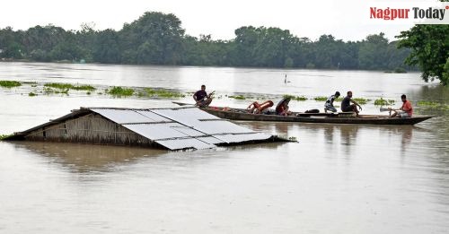 17 wild animals drown in Assam’s flooded Kaziranga