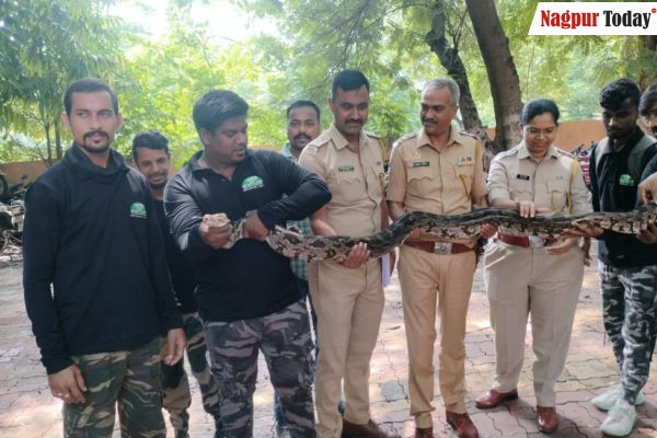 Video: Nagpur Police Raise Awareness on Snake Species, 14-Foot Python Steals the Show!