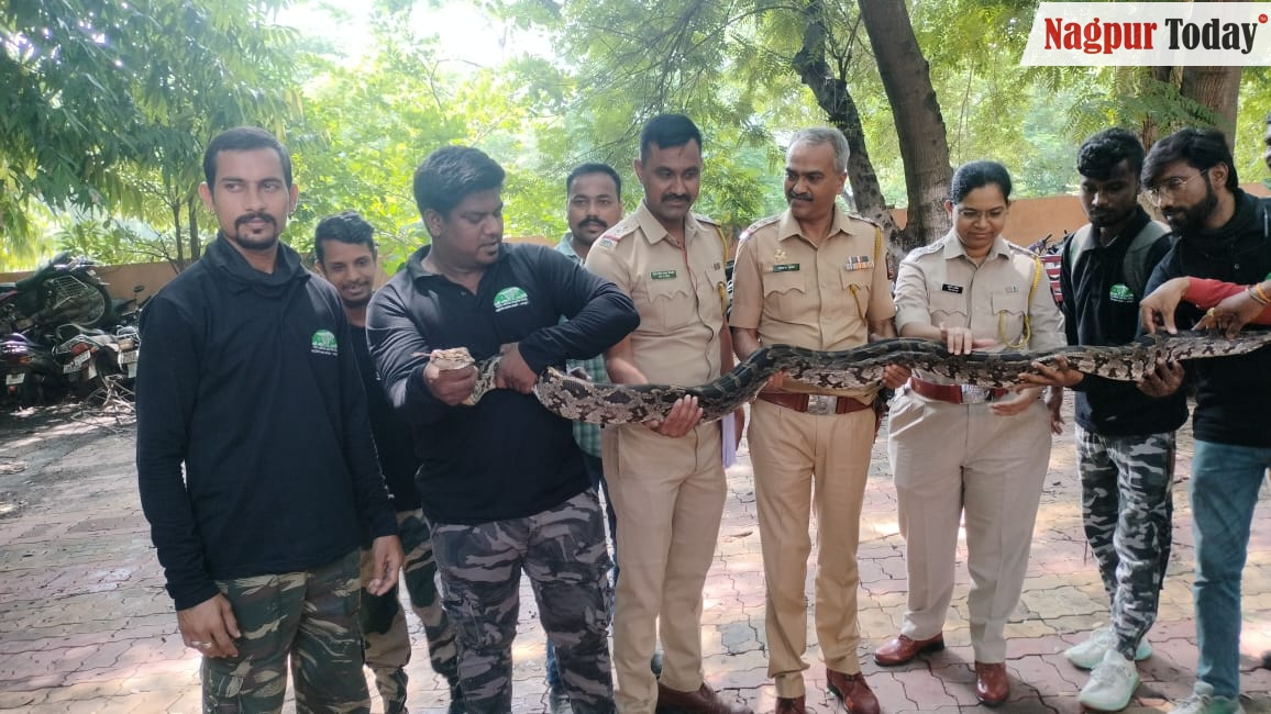 Video: Nagpur Police Raise Awareness on Snake Species, 14-Foot Python ...