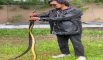 Video: Pair of Indian Rat Snakes Causes Stir at Nagpur’s Walkers Officers Club