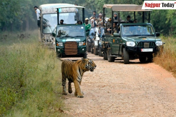 Jungle safari in core area of PTR, BTR, UPKS closed from July 1