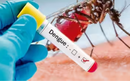 dengue cases nagpur