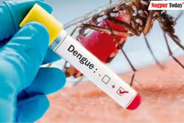 dengue cases nagpur