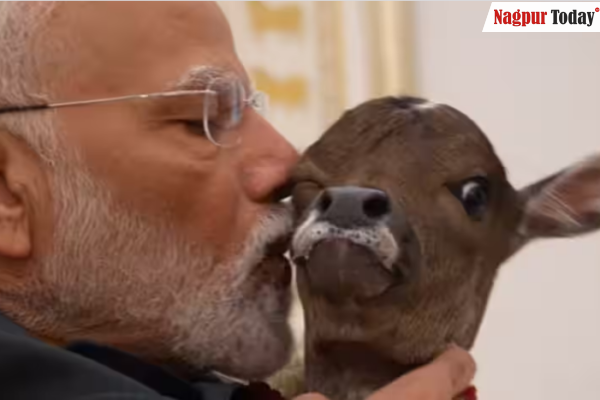 A new member ‘Deepjyoti’ arrives at PM Modi’s residence