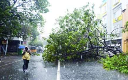 heavy rains and thunderstorms