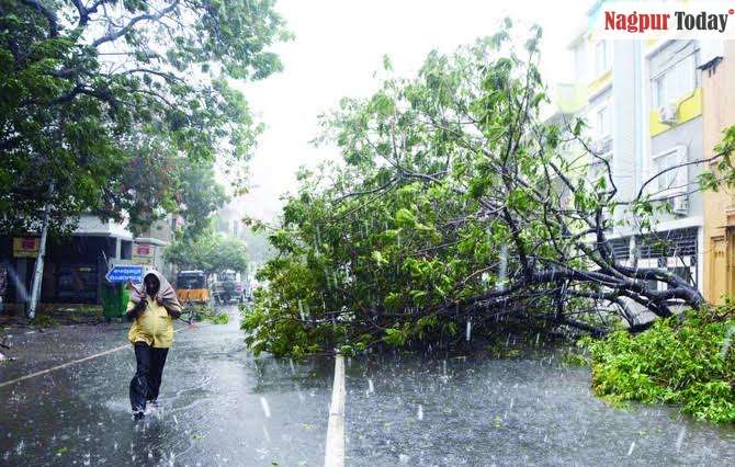 heavy rains and thunderstorms