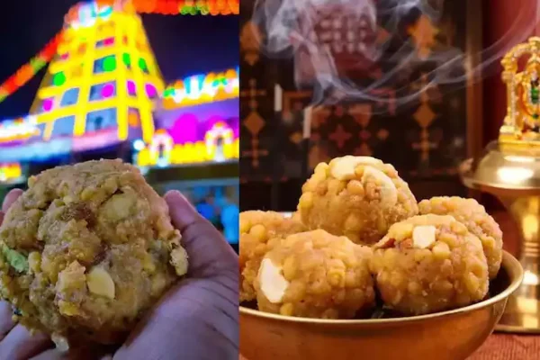 Tirupati laddu row: Lab report claims animal fat in ghee