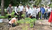 NMC uses Miyawaki method for tree plantation drive at Ujjwal Nagar