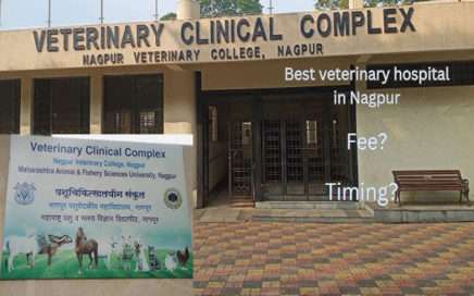 The Veterinary Hospital in Nagpur