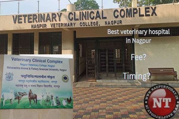 The Veterinary Hospital in Nagpur