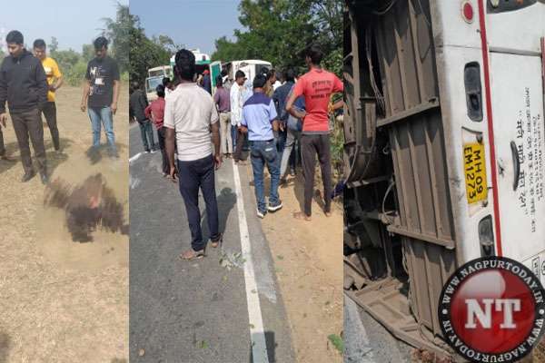 Death toll in Gondia bus accident rises to 11; 34 injured