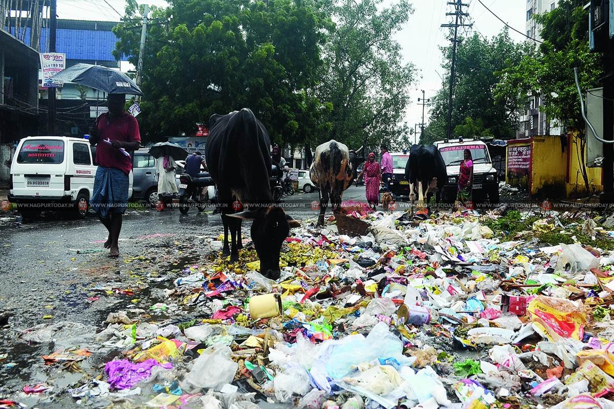 Scrap AG Enviro, BVG contracts for shoddy waste management in Nagpur : Datke