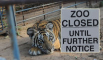 Zoos Likely to Close from Tomorrow After Avian Flu Outbreak; Centre Issues Directive