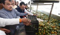 Patanjali Food Park Inaugurated in Nagpur, Promises Big Gains for Farmers